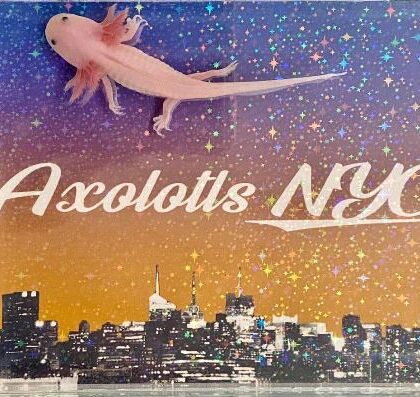 A leucistic axolotl standing on an Axolotls NYC background.