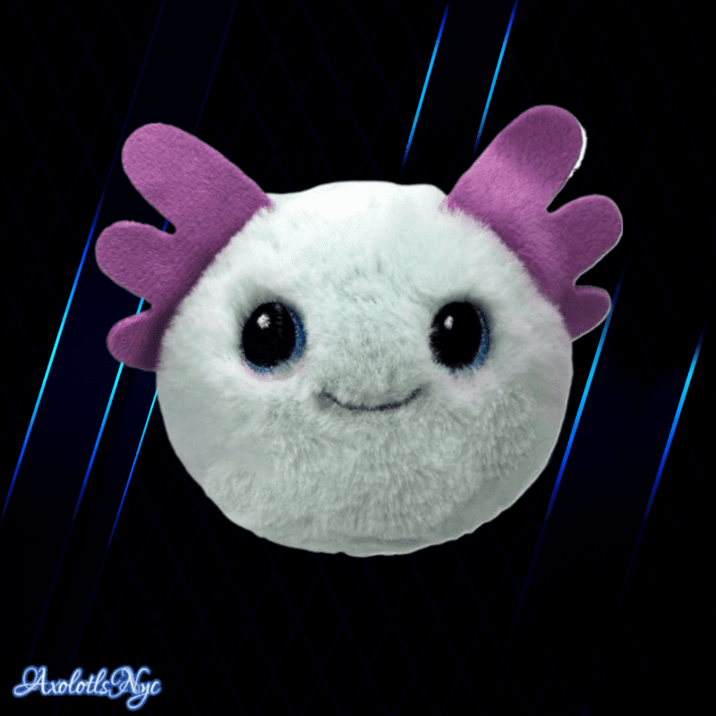 TY BEANIE BOUNCERS - SWISH AXOLOTL - Image 5