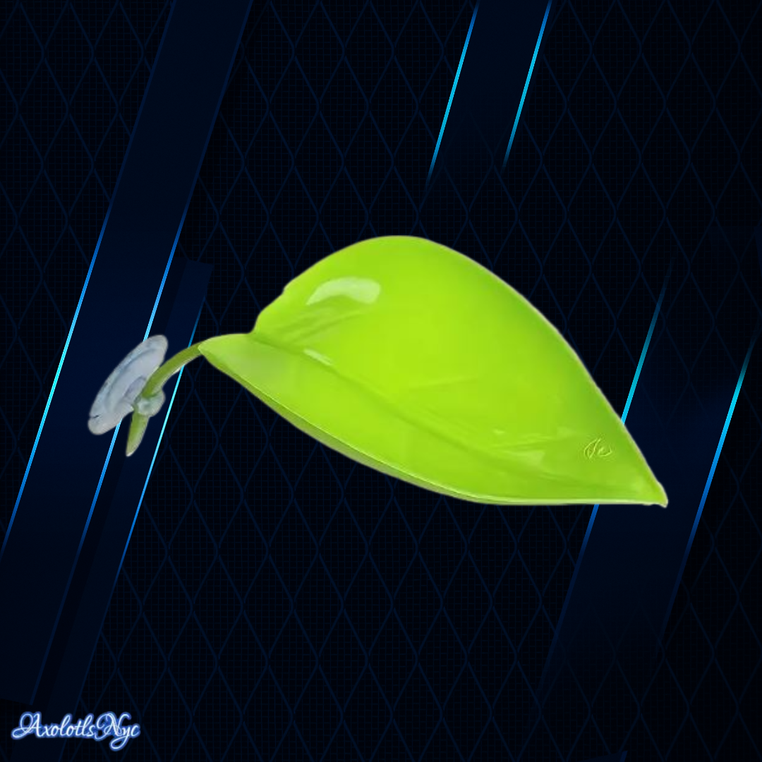 Axolotl/Reptile Resting Leaf (Light Green) Decor - Image 9