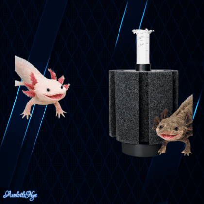 20–80 Gallon Cycled Sponge Filter with Air Pump & Ceramic Media