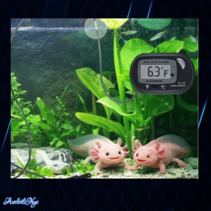 Aquarium Digital Thermometer